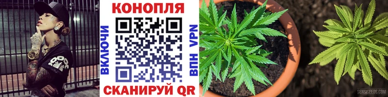 Канабис планчик Севастополь
